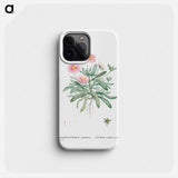 Mesembryanthemum Cuneifolium (Livingstone Daisy) - ピエール ジョゼフ ルドゥーテ Phone Case.