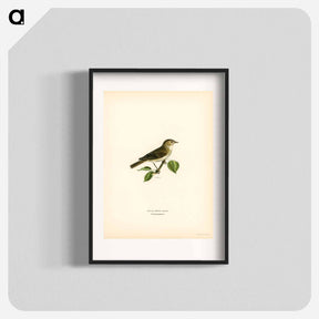 アートポスター-Garden Warbler
 - スヴェンスカ フォグラル Poster.