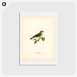 アートポストカード-Garden Warbler
 - スヴェンスカ フォグラル Postcard.