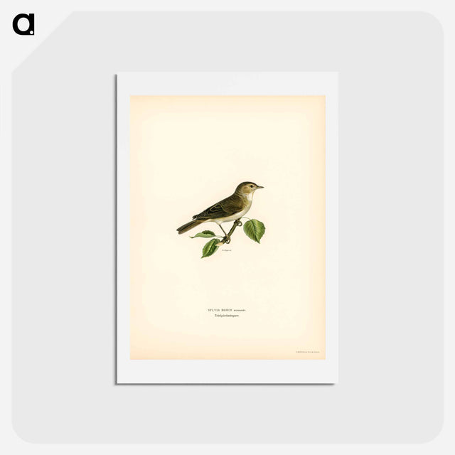 アートポストカード-Garden Warbler
 - スヴェンスカ フォグラル Postcard.