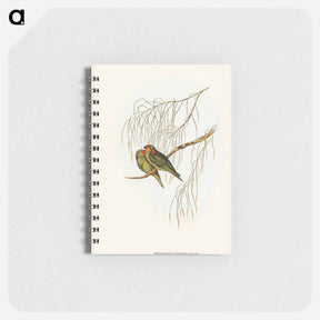 アートメモ帳-Little Lorikeet
 - オーストラリアの鳥 Memo.