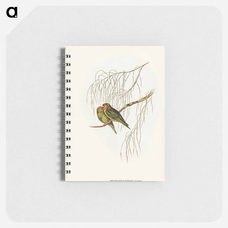 アートメモ帳-Little Lorikeet
 - オーストラリアの鳥 Memo.