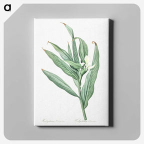 2-65_The-Lilies_canvas