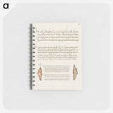 アートメモ帳-Butterfly Pupae from Mira Calligraphiae Monumenta
 - 書道のお手本 Memo.