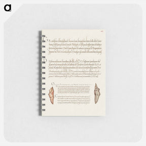 アートメモ帳-Butterfly Pupae from Mira Calligraphiae Monumenta
 - 書道のお手本 Memo.