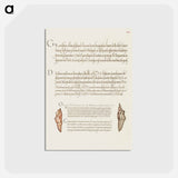 アートポストカード-Butterfly Pupae from Mira Calligraphiae Monumenta
 - 書道のお手本 Postcard.