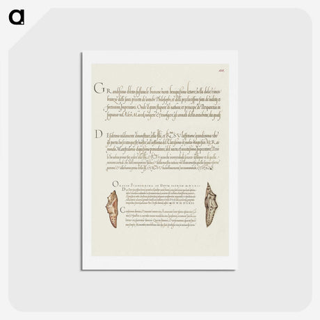 2-65_The-Model-Book-of-Calligraphy_hagaki