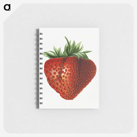 2-65_USDA-Watercolor-Fruit-Painting-Collection_memo