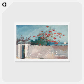 アートポストカード-A Wall, Nassau - ウィンスロー ホーマー Postcard.
