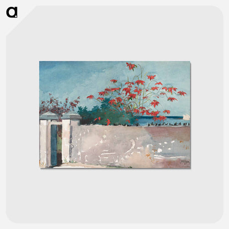 アートポストカード-A Wall, Nassau - ウィンスロー ホーマー Postcard.