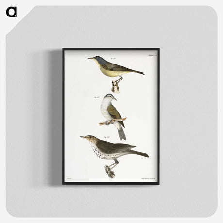 2-65_Zoology-of-New-York_blk-crop