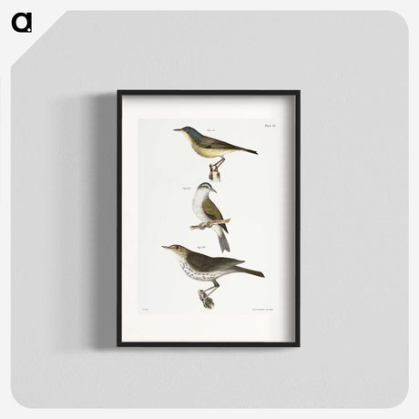 2-65_Zoology-of-New-York_blk