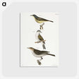 2-65_Zoology-of-New-York_postcard