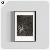 2-66_Alfred-Stieglitz_blk