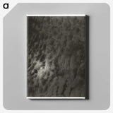 2-66_Alfred-Stieglitz_canvas
