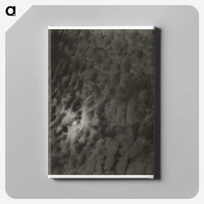 2-66_Alfred-Stieglitz_canvas