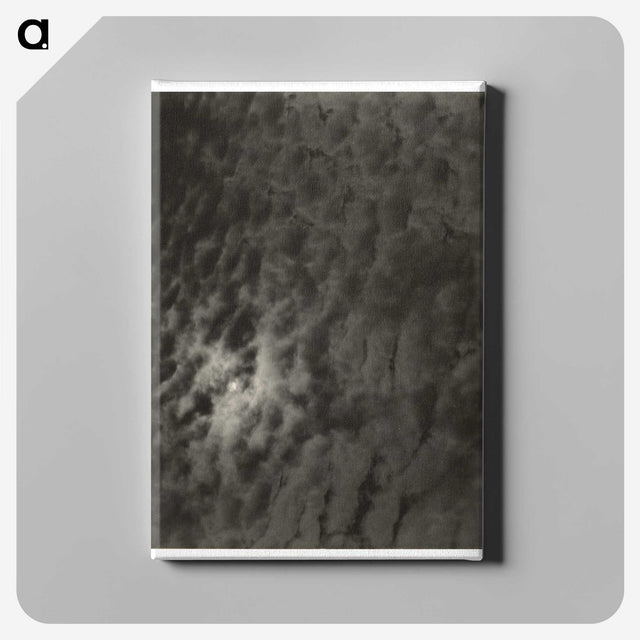 2-66_Alfred-Stieglitz_canvas