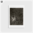 アートポストカード-Equivalents - アルフレッド スティーグリッツ Postcard.