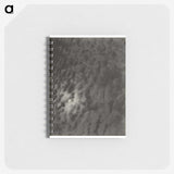 2-66_Alfred-Stieglitz_memo