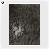 2-66_Alfred-Stieglitz_picture-crop
