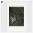 2-66_Alfred-Stieglitz_picture