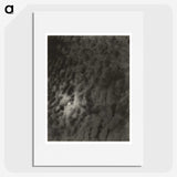 2-66_Alfred-Stieglitz_picture
