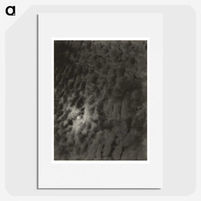 2-66_Alfred-Stieglitz_picture