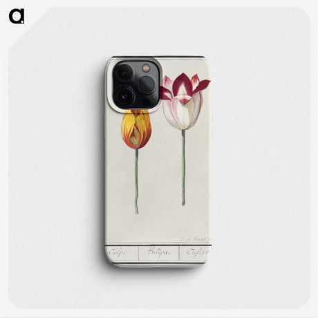 2-66_Anselmus-Boetius-de-Boodt_phone