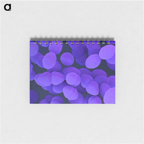 2-66_COVID-19_memo
