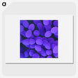 2-66_COVID-19_picture