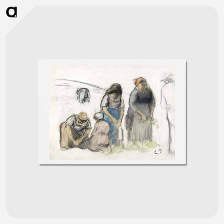 アートポストカード-Pea Harvesters - カミーユ ピサロ Postcard.