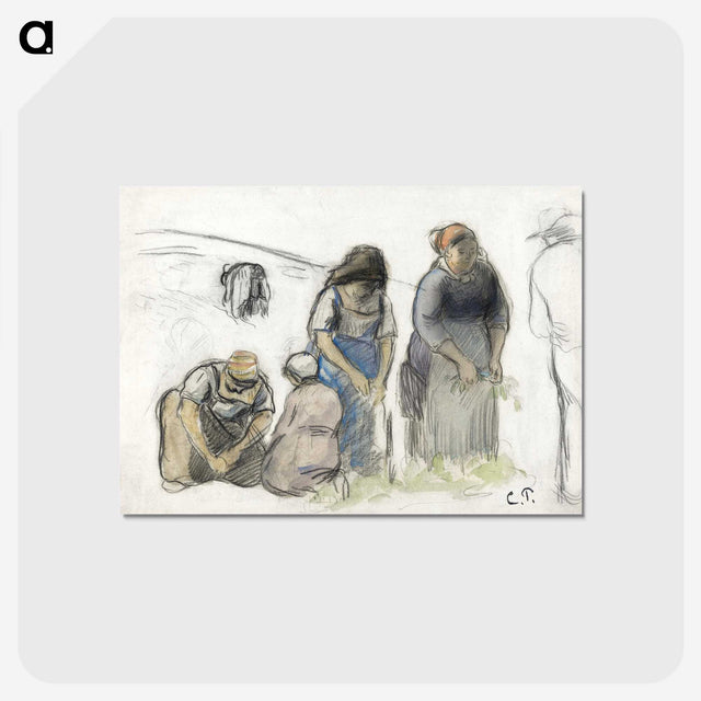 2-66_Camille-Pissarro_postcard