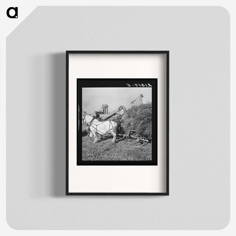 2-66_Dorothea-Lange_blk