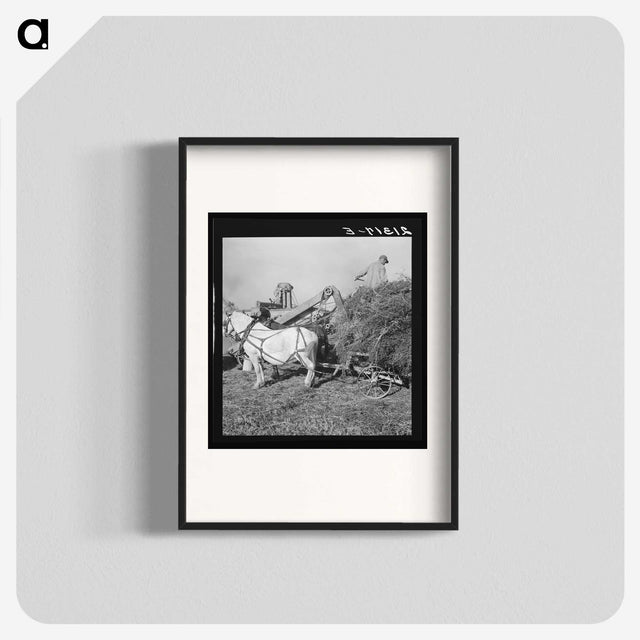 2-66_Dorothea-Lange_blk