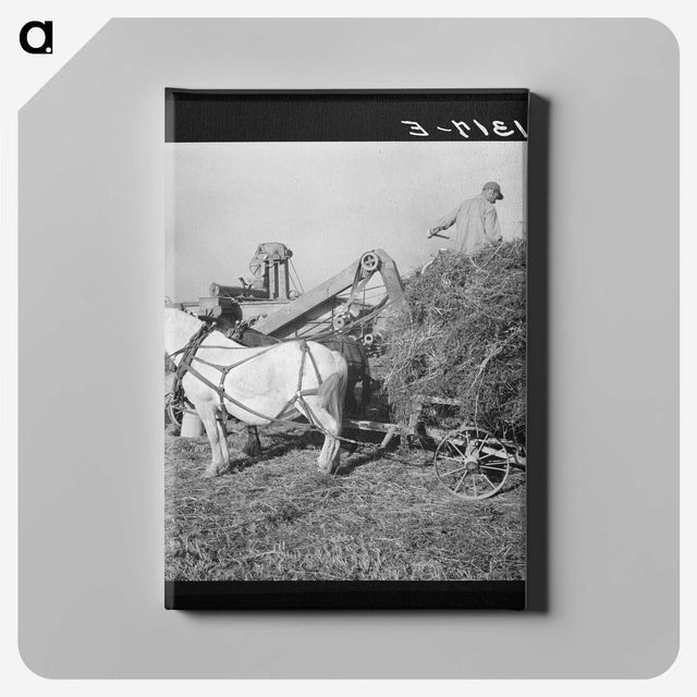 2-66_Dorothea-Lange_canvas