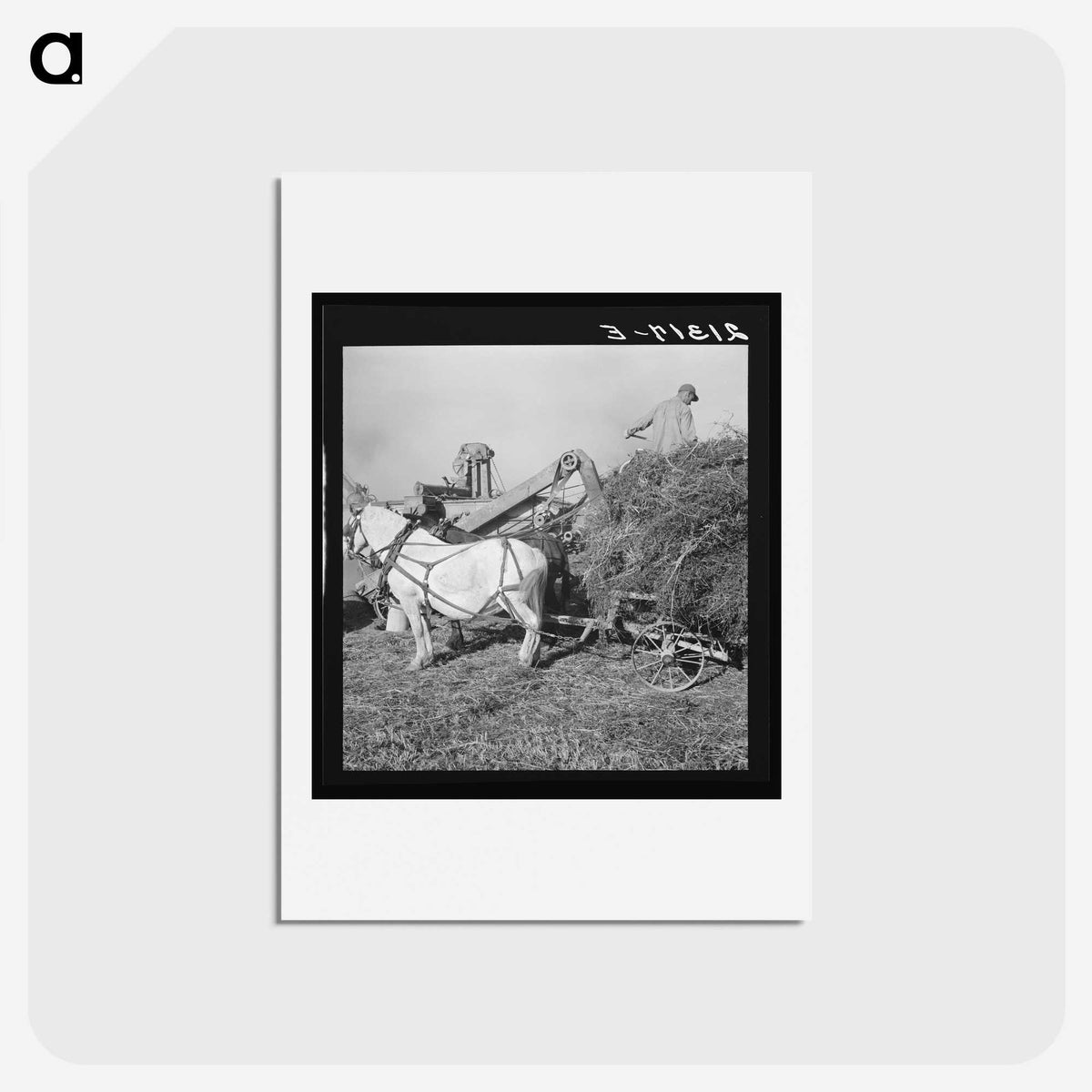 2-66_Dorothea-Lange_hagaki