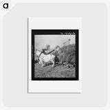 2-66_Dorothea-Lange_hagaki