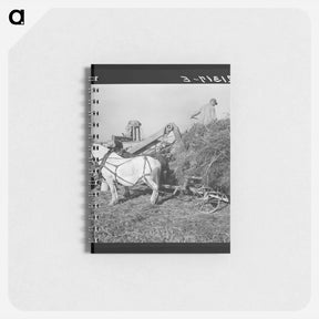 アートメモ帳-Untitled photo - ドロテア ラング Memo.