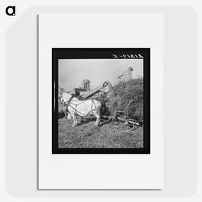 2-66_Dorothea-Lange_picture