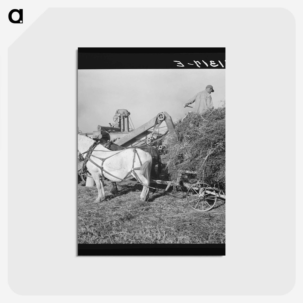 2-66_Dorothea-Lange_postcard
