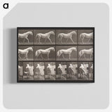 2-66_Eadweard-Muybridge_blk-crop