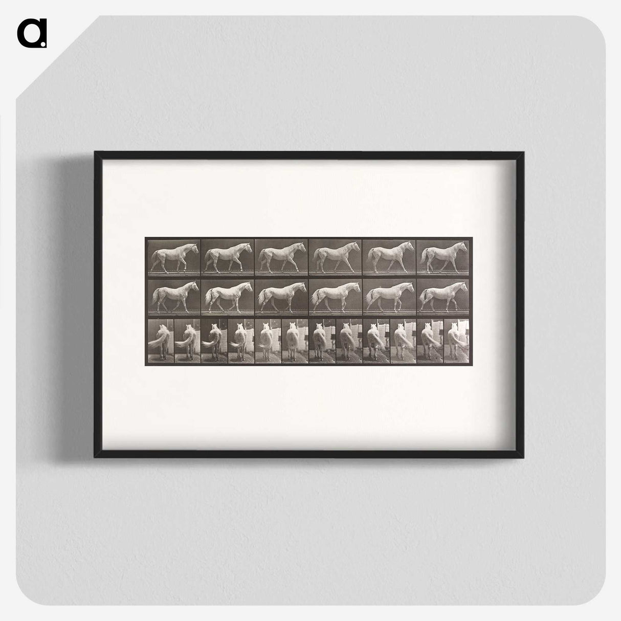 2-66_Eadweard-Muybridge_blk