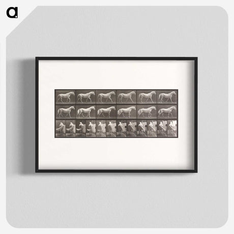 2-66_Eadweard-Muybridge_blk