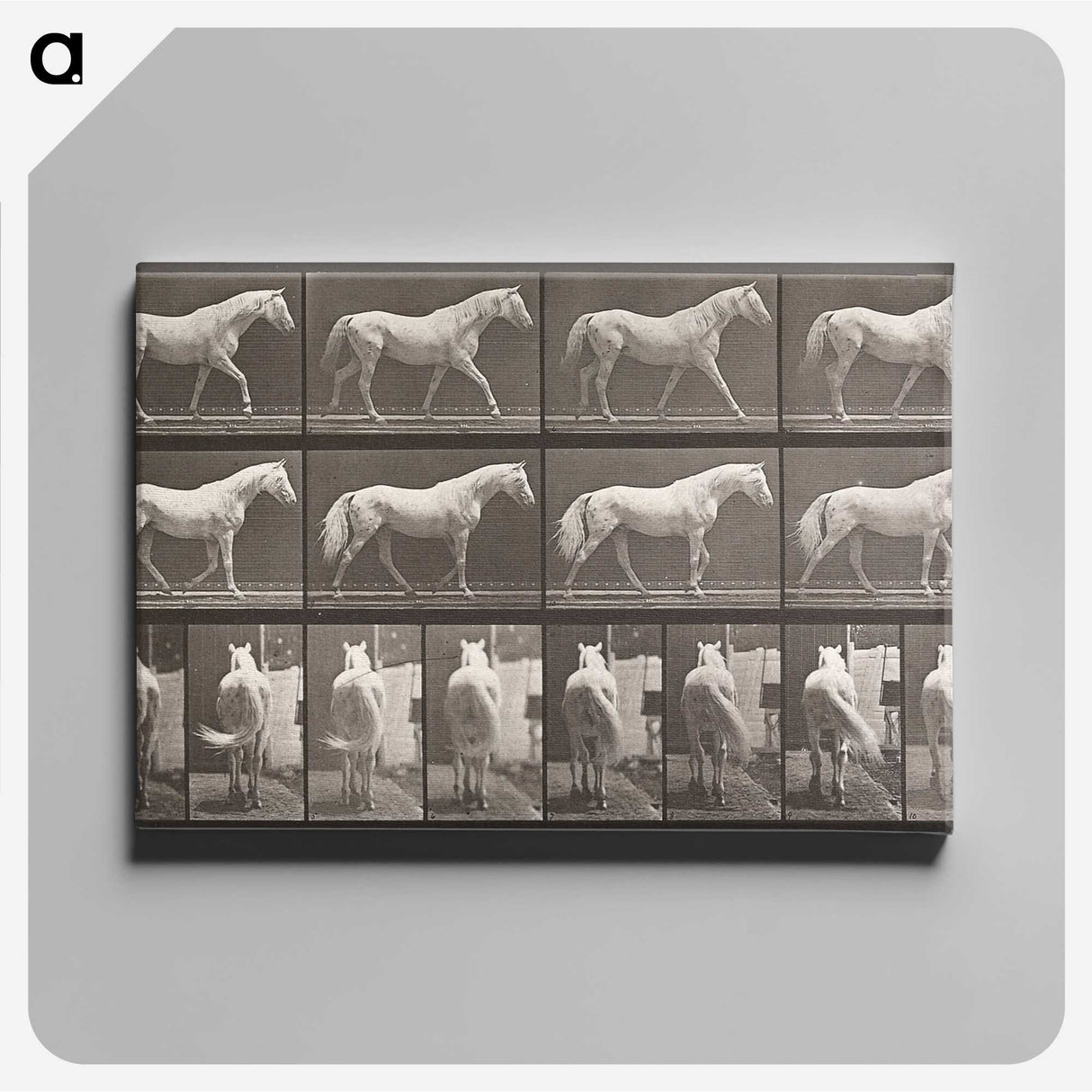 2-66_Eadweard-Muybridge_canvas