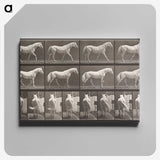 2-66_Eadweard-Muybridge_canvas