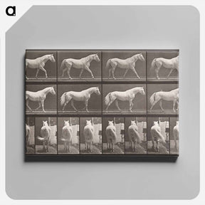 アートパネル-Walking Horse
 - エドワード マイブリッジ Canvas.