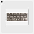アートポストカード-Walking Horse
 - エドワード マイブリッジ Postcard.