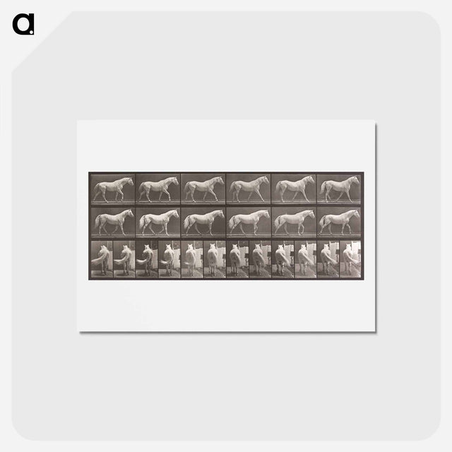 アートポストカード-Walking Horse
 - エドワード マイブリッジ Postcard.