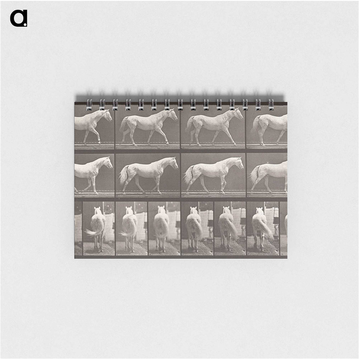 2-66_Eadweard-Muybridge_memo