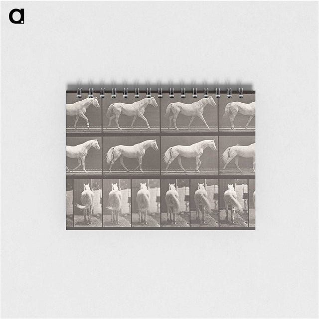 2-66_Eadweard-Muybridge_memo